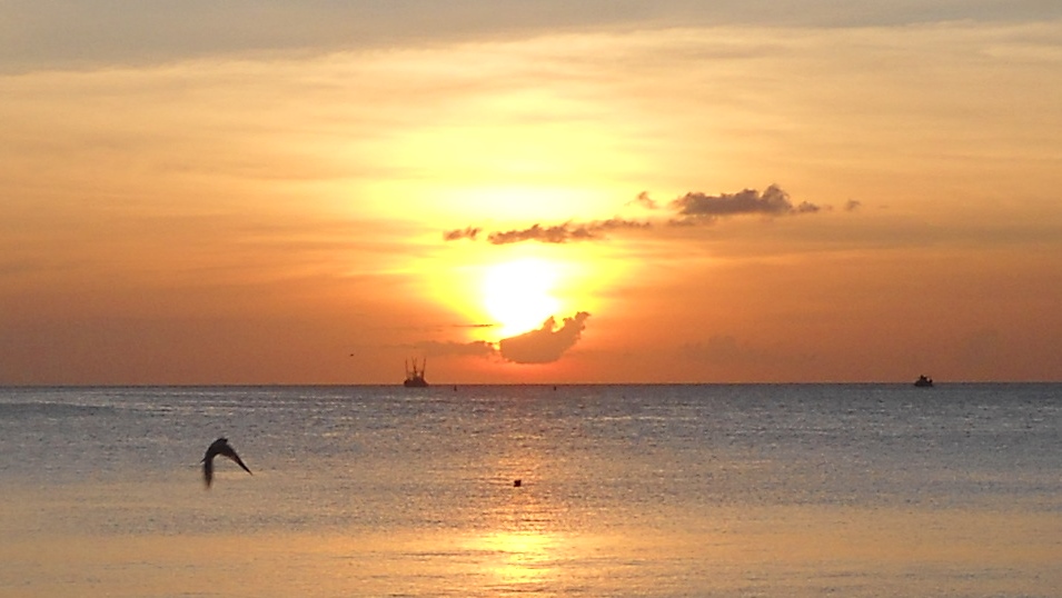 Sunset Kings Warf, San Fernando, Trinidad, TT_20090904_tobagojo@gmail.com_DSCN1616B